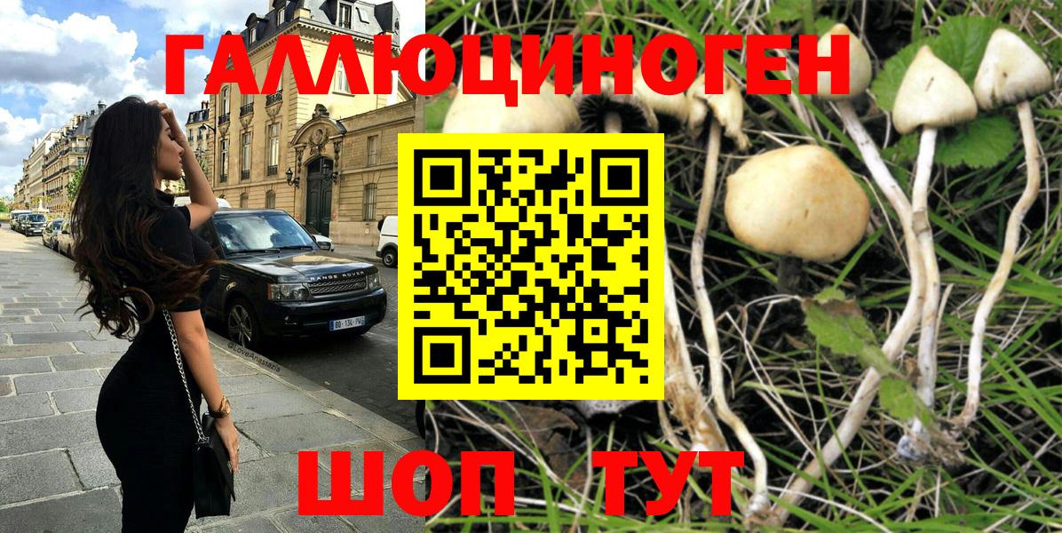 Галлюциногенные грибы MAGIC MUSHROOMS Чайковский